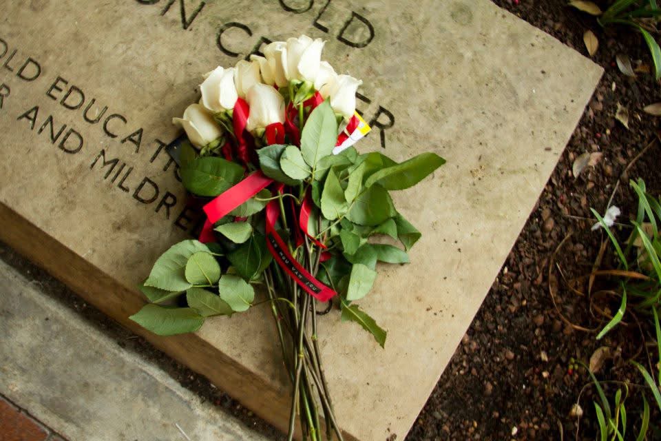 white roses with red ribbon